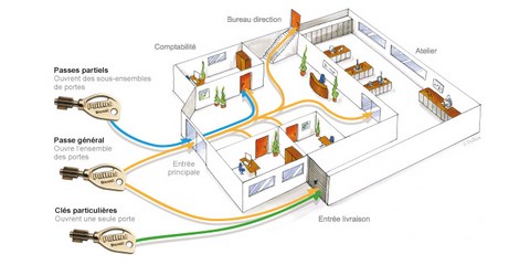 Plan organigramma